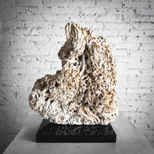 Load image into Gallery viewer, Organic Barnacle Shell Table Top Object