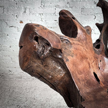 Load image into Gallery viewer, Conceptual Root Garden Chair