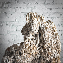 Load image into Gallery viewer, Organic Barnacle Shell Table Top Object