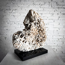 Load image into Gallery viewer, Organic Barnacle Shell Table Top Object