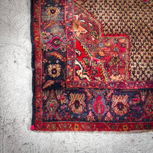 Load image into Gallery viewer, Mid 20th Century Area Persian Knotted Rug