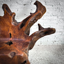 Load image into Gallery viewer, Conceptual Root Garden Chair
