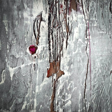 Load image into Gallery viewer, Patricia Larsen Abstract Painting
