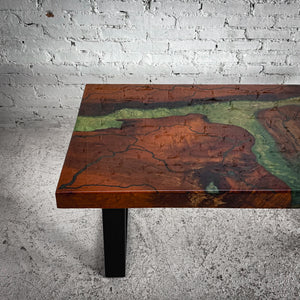 Modern Glossy Resin Wood Cocktail Table