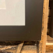 Load image into Gallery viewer, Ranas y Sapos Framed Intaglio Print
