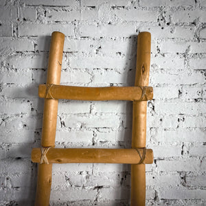 Native American Natural Wood Ladder Architectural Element