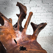 Load image into Gallery viewer, Conceptual Root Garden Chair
