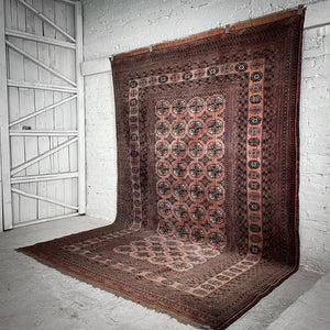 Bokhara Wool Oriental Knotted Rug