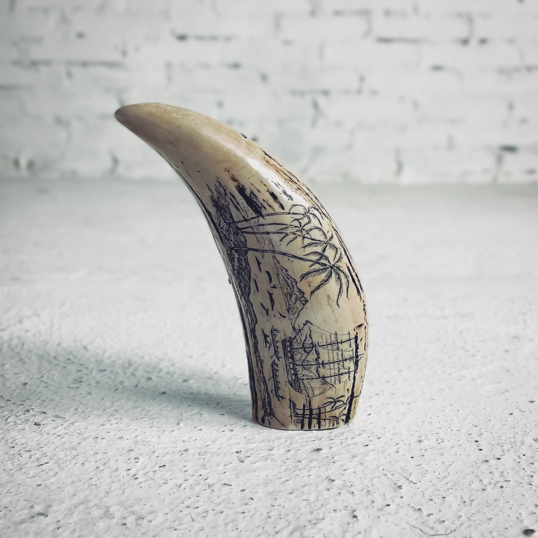 19th Century Nautical Carved Whale Tooth Curiosity